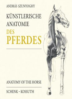 Künstlerische Anatomie des Pferdes